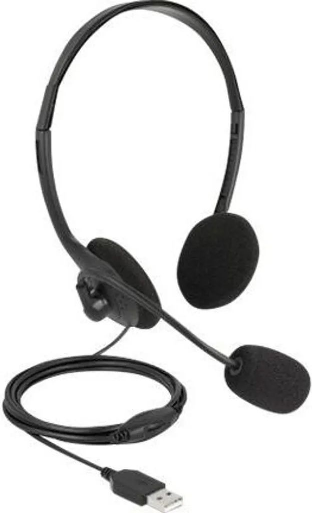 Casque Stéréo USB Delock Ultra-Léger avec Contrôle Volume Intégré