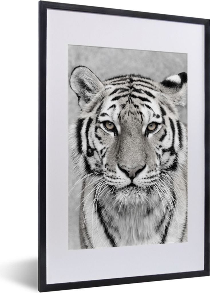 MuchoWow Gerahmtes Poster Tiger - Natur - Schwarz - Weiß 40x60 cm - Poster mit Schwarzem Bilderrahmen Wandposter Rahmen Foto Bilder - Poster in ...