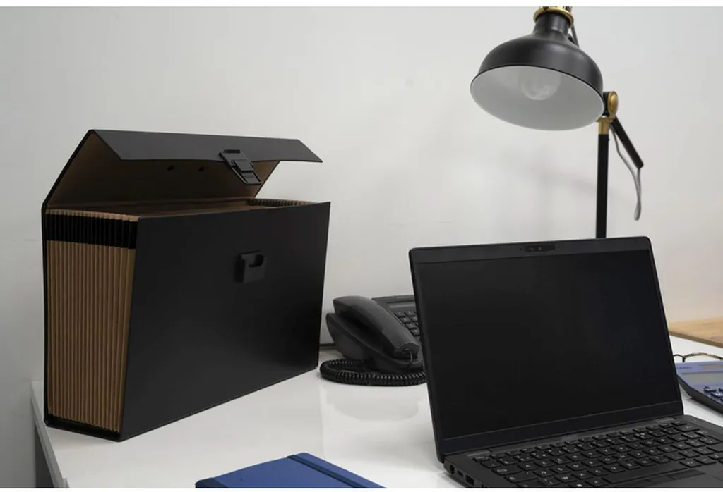 Trieur valisette 20 compartiments A4 pour documents Exacompta transportable
