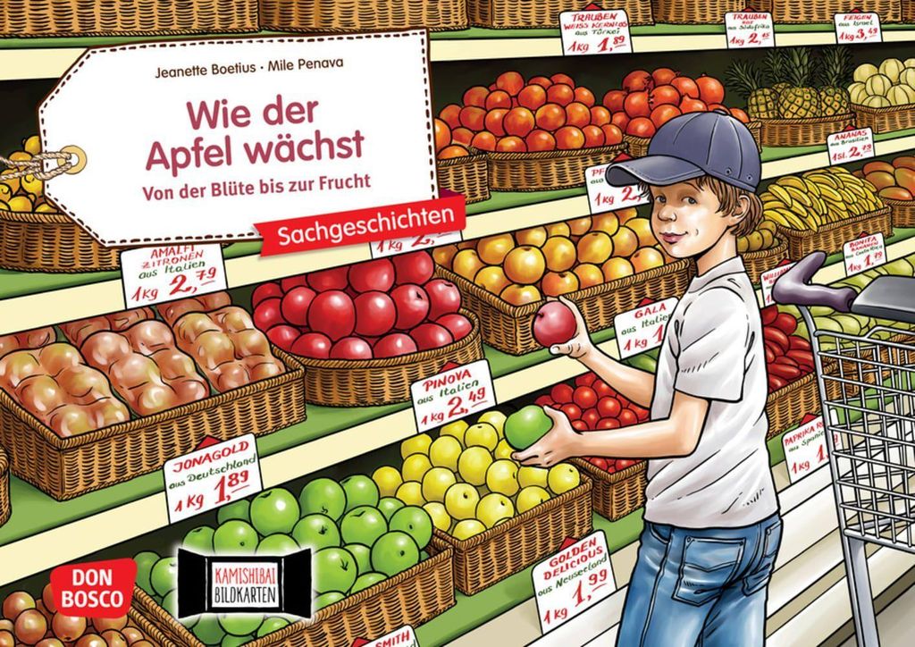 Wie der Apfel wächst. Von der Blüte bis zur Frucht. Produktbild 