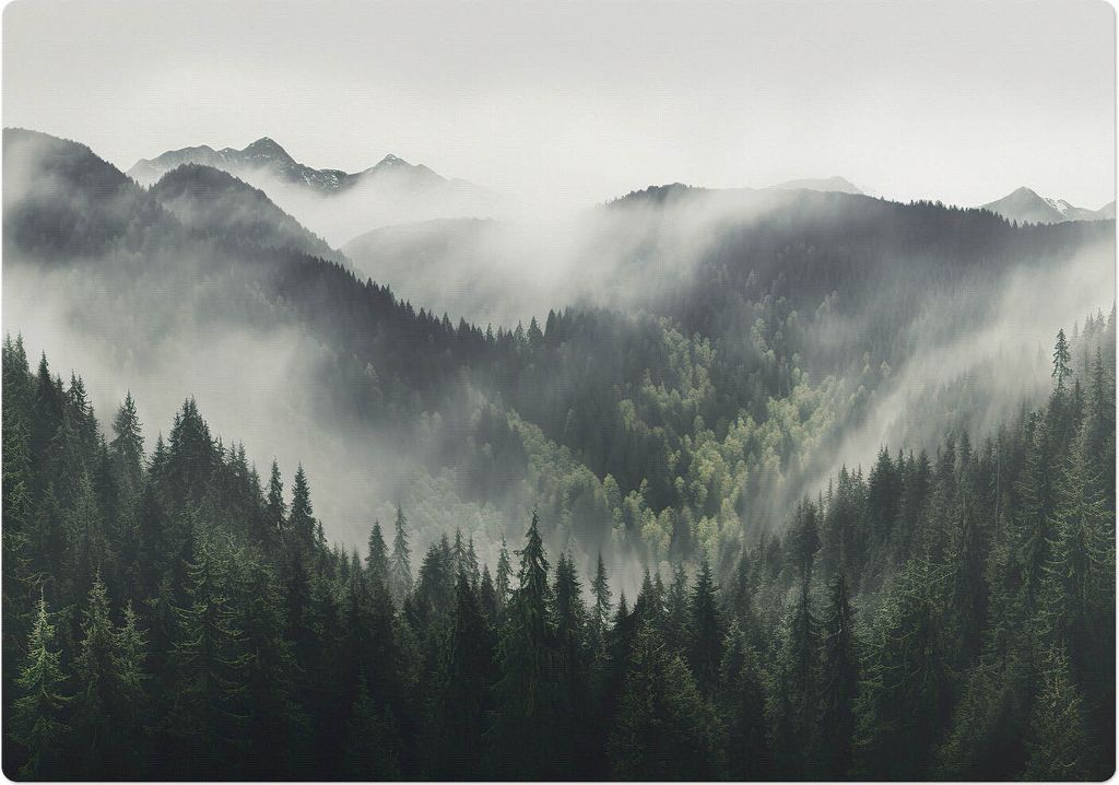 Nebel Über Dem Wald – Bodenschutzmatte – Rutschfest – Schutzmatte für Büro – Vinylmatte – Stuhlunterlage – 100 x 100 cm