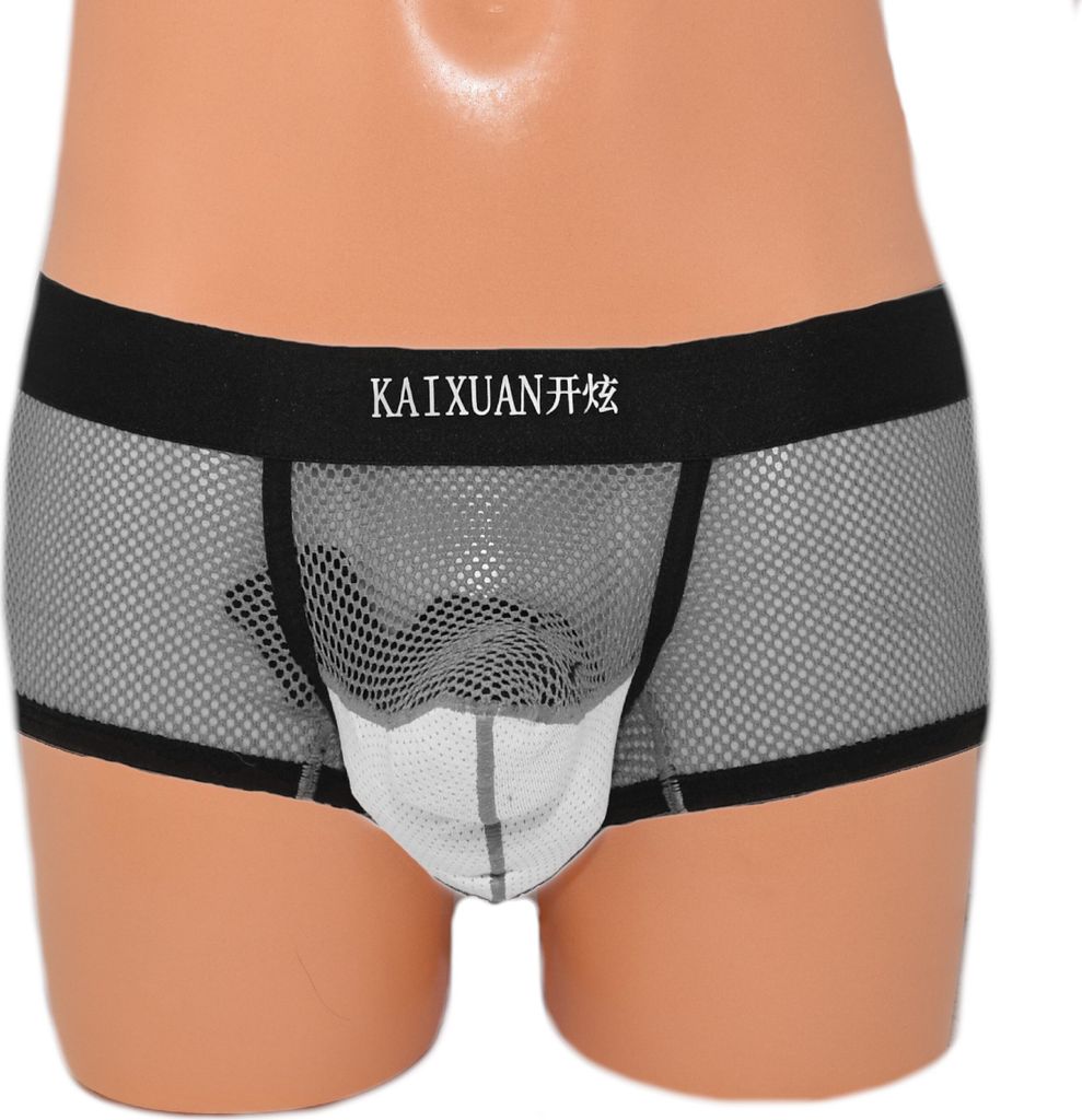 Rüsselboxer Elefant-Boxer extravagantes Frontteil