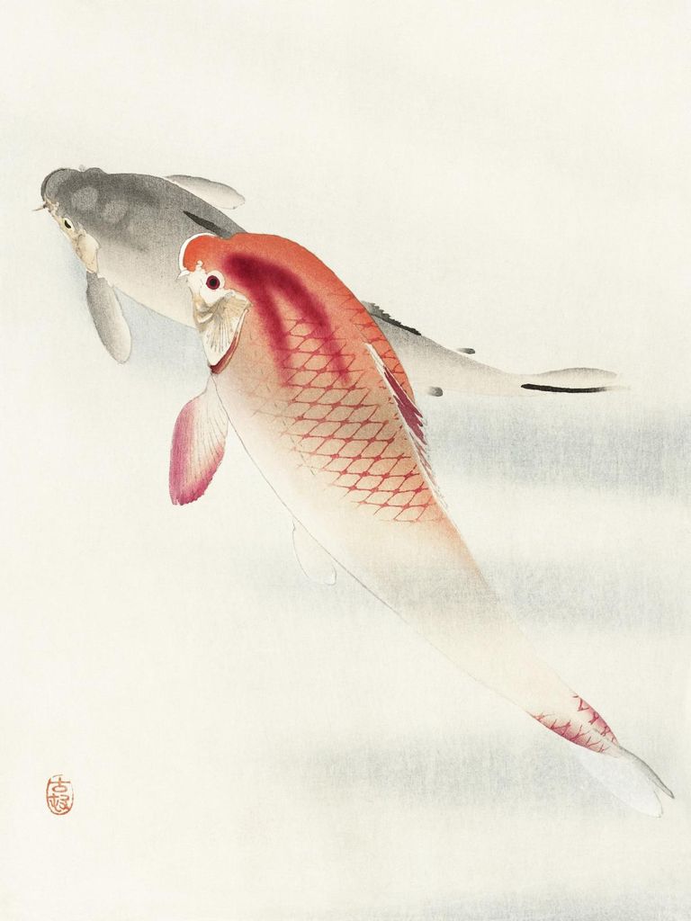 Plakat 30x40cm Zwei Karpfen, Vintage Japanischer Koson für das Wohnzimmer