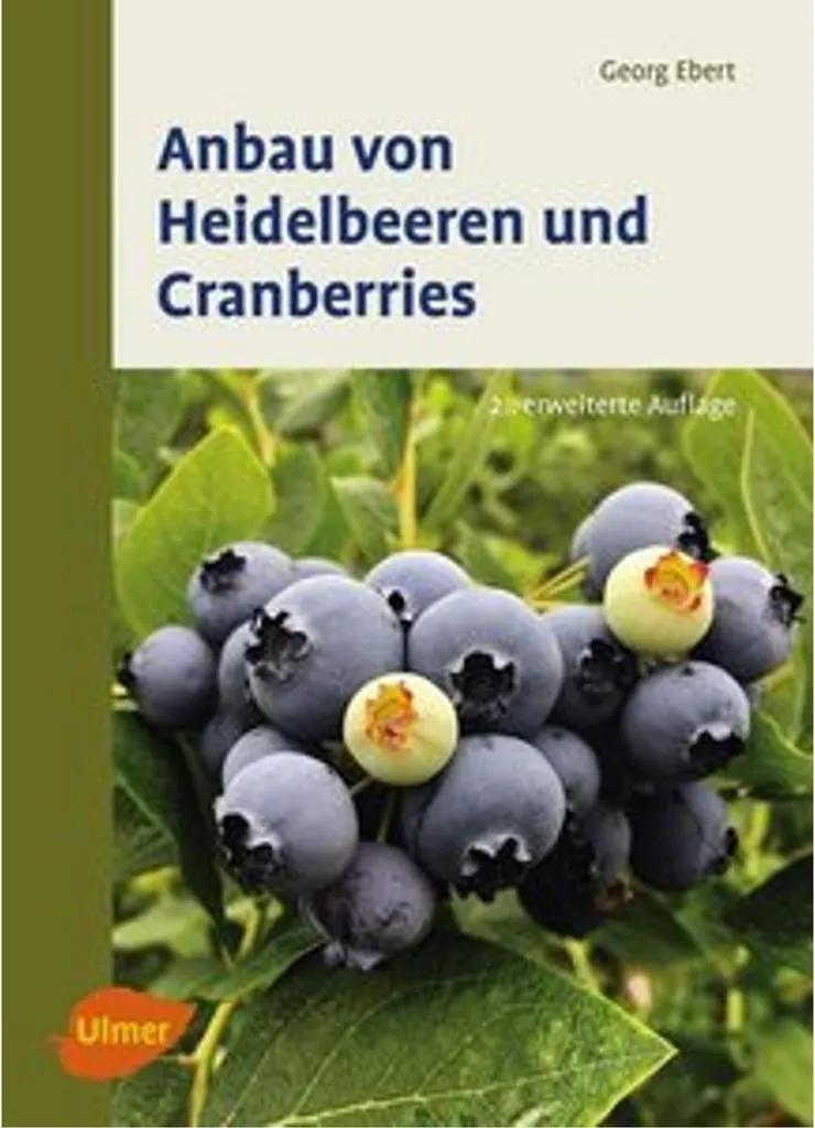 Culture de myrtilles et de cranberries : guide complet pour le jardin