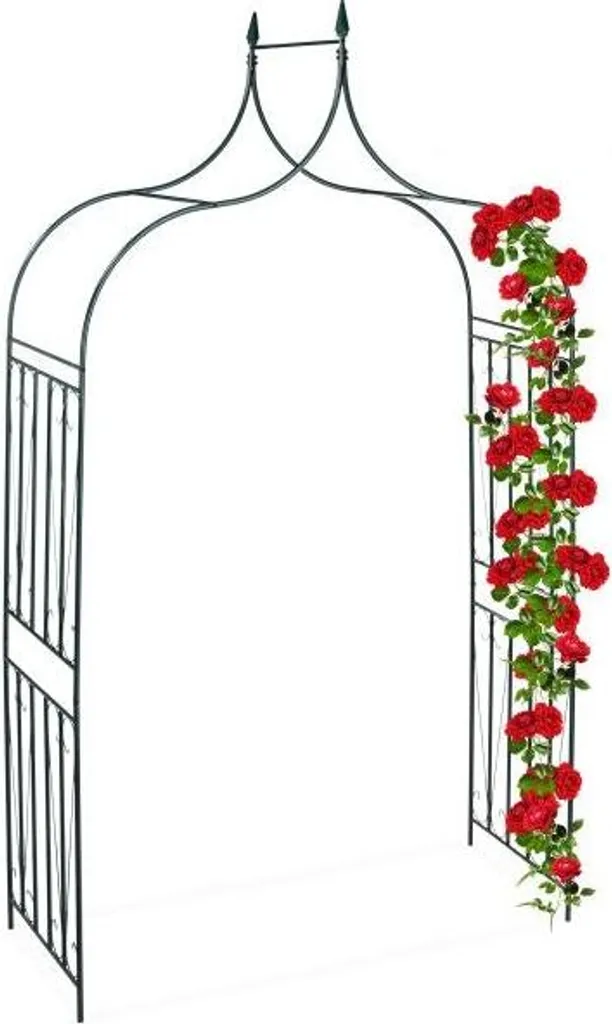 Tuteur arche de jardin robuste pour stabiliser vos rosiers grimpants