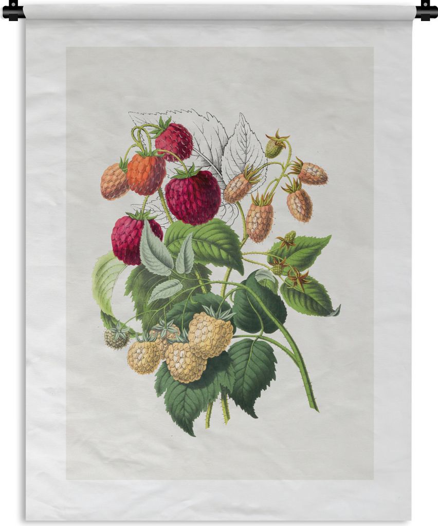 MuchoWow Wandteppich Wandbehang Himbeere - Pflanze - Lebensmittel 150x200 cm Tapisserie Dekoration Wandtuch - Wandaufhängung - Moderner