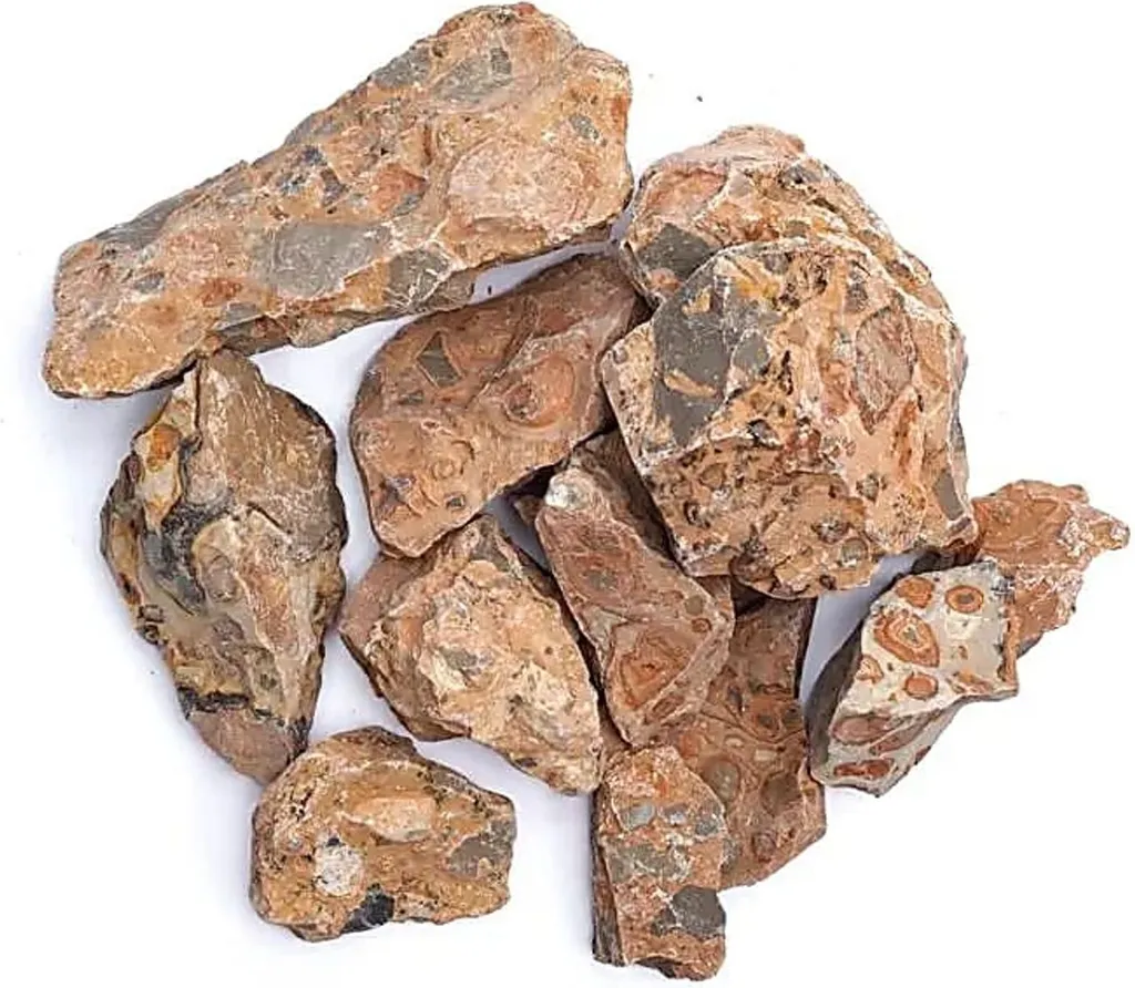 Léopardite brute tachetée 1000g, pierres naturelles de 3-8 cm brutes