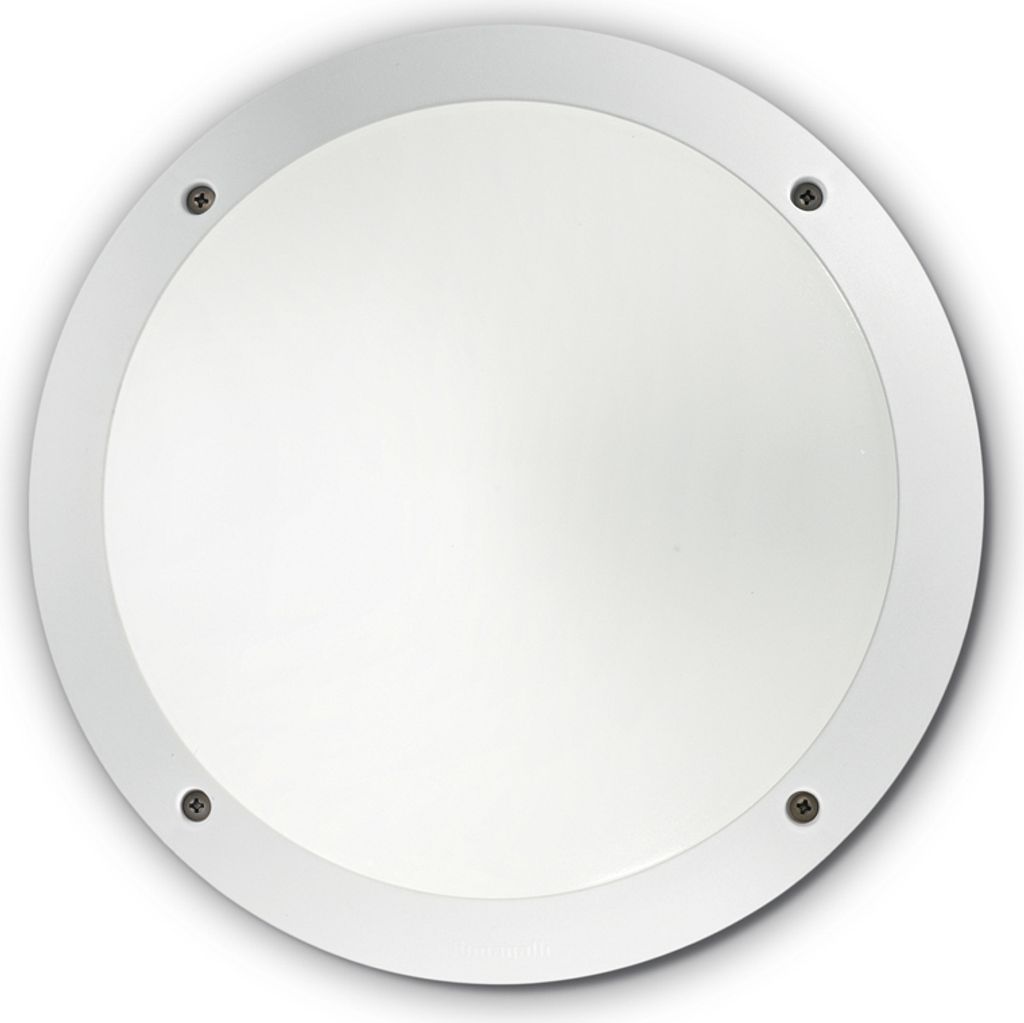 Plafonnier EXTERIEUR Ø300mm | Blanc | Alu | Lampe Image du produit 