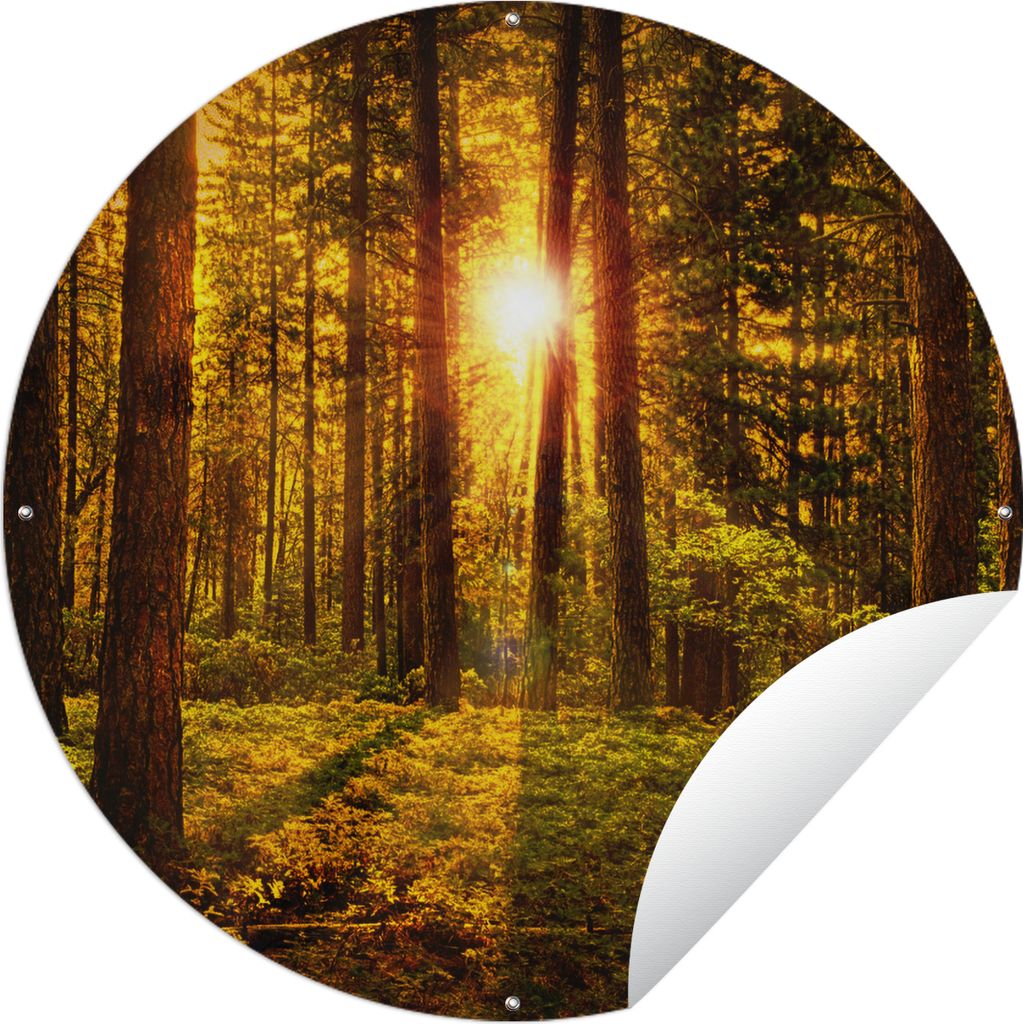 MuchoWow Gartenposter Outdoor-Poster Rund Wald - Sonne - Bäume - Natur - Sonnenuntergang Ø 120 cm Gartendeko Rundes Poster draußen