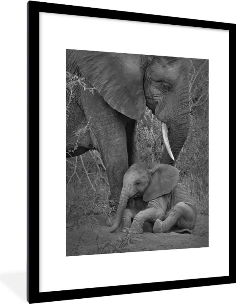 MuchoWow Gerahmtes Poster Mutter Elefant kümmert sich um ihr Kind - schwarz und weiß 60x80 cm - Poster mit Schwarzem Bilderrahmen Wandposter Ra...