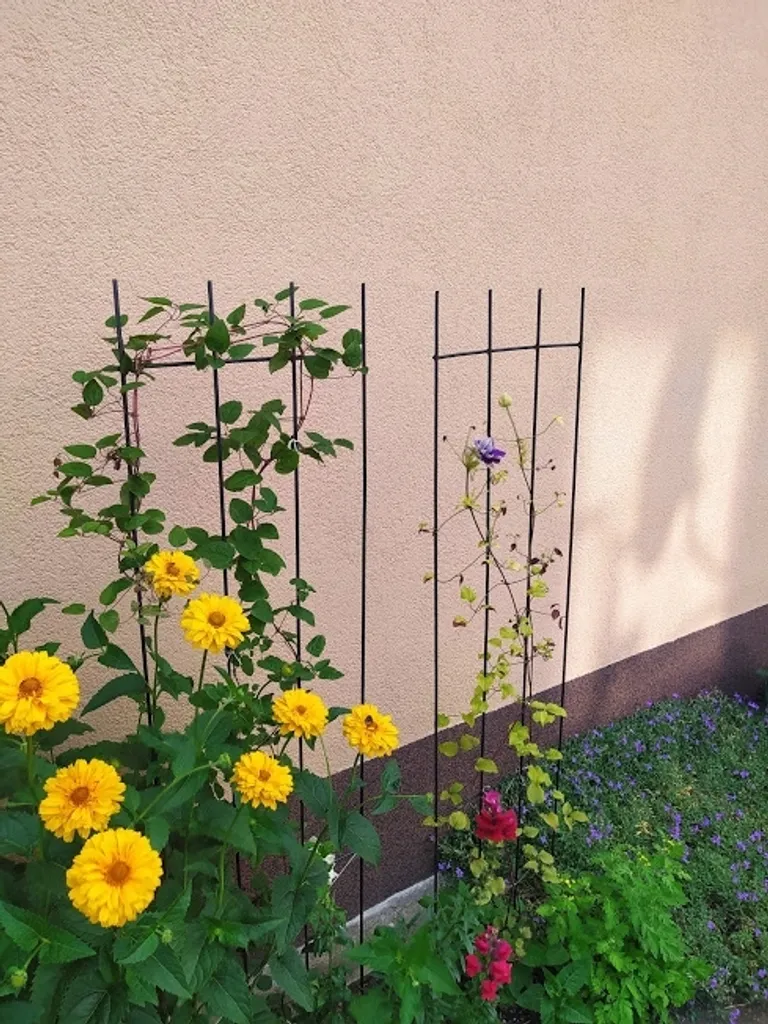 Évitez l'affaissement de vos fleurs avec ces grilles en métal et bois