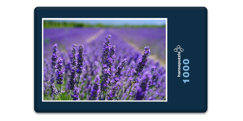 hansepuzzle 16382 - Lavendel Puzzle, 1000 Teile, Natur, 60,0 x 46,0cm mit hochwertiger Aufbewahrung, Kartonbox und wiederverschließbarem Beutel