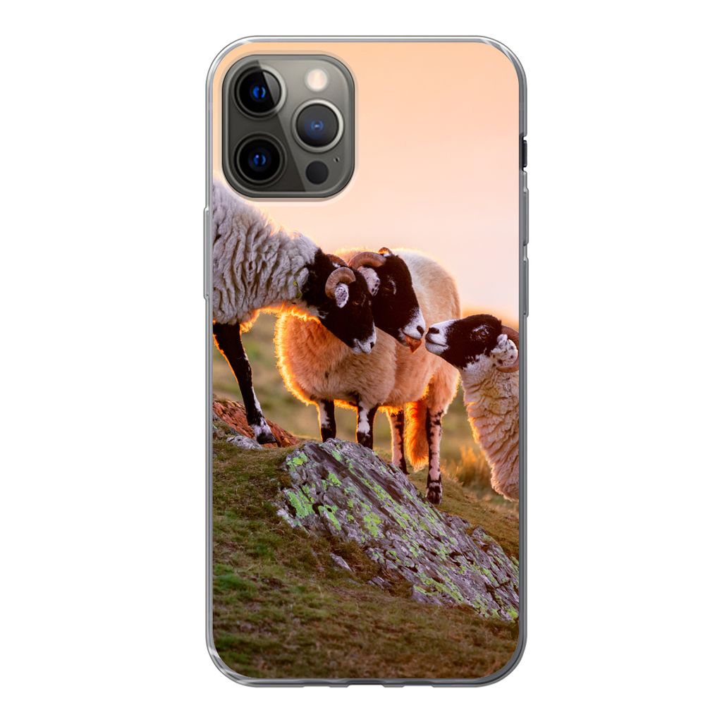 MuchoWow Handyhülle Schutzhülle Hülle für iPhone 13 Pro Schafe - Tiere - Sonnenuntergang Silikon Softcase Handy Hülle - Handy-Tasche