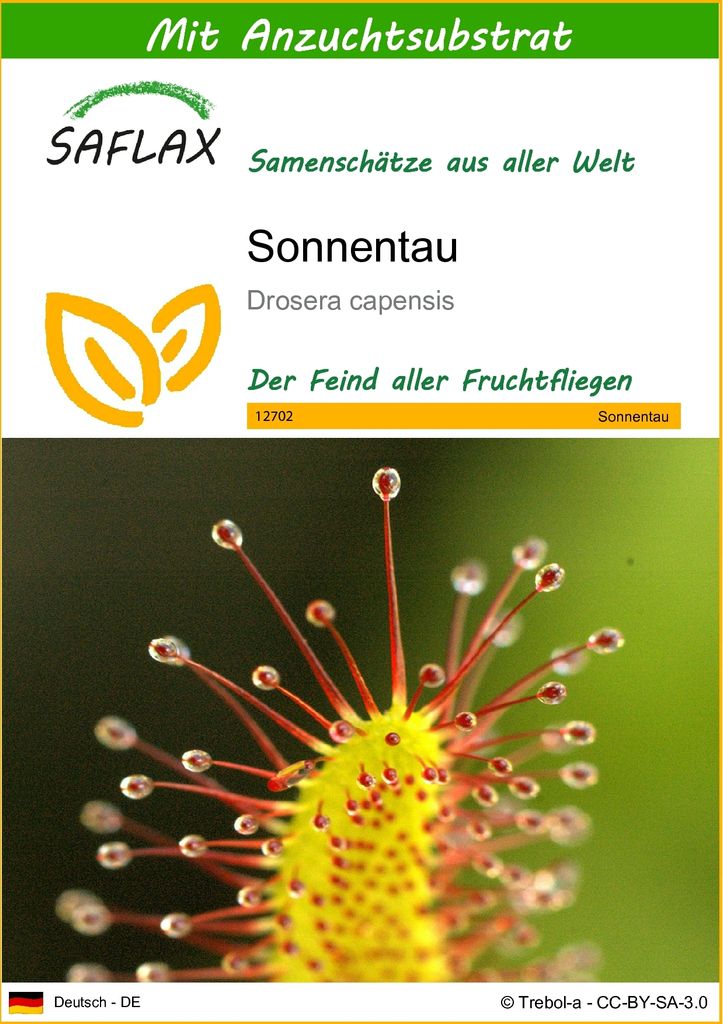 SAFLAX - Sonnentau - 200 Samen - Mit keimfreiem Anzuchtsubstrat - Drosera capensis