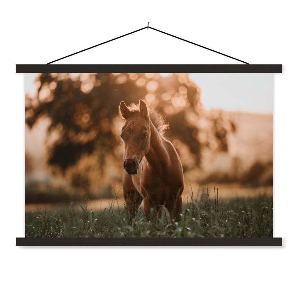 MuchoWow Textilposter Pferd - Licht - Landschaft 120x80 cm mit schwarzem Rahmen - Wanddeko
