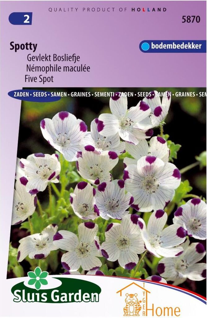 Spotty Spotted Seeds - Charmanter gefleckter Wald, bunte Gartenblumen, einfach zu züchten, ideal für Blumenbeete und Behälter