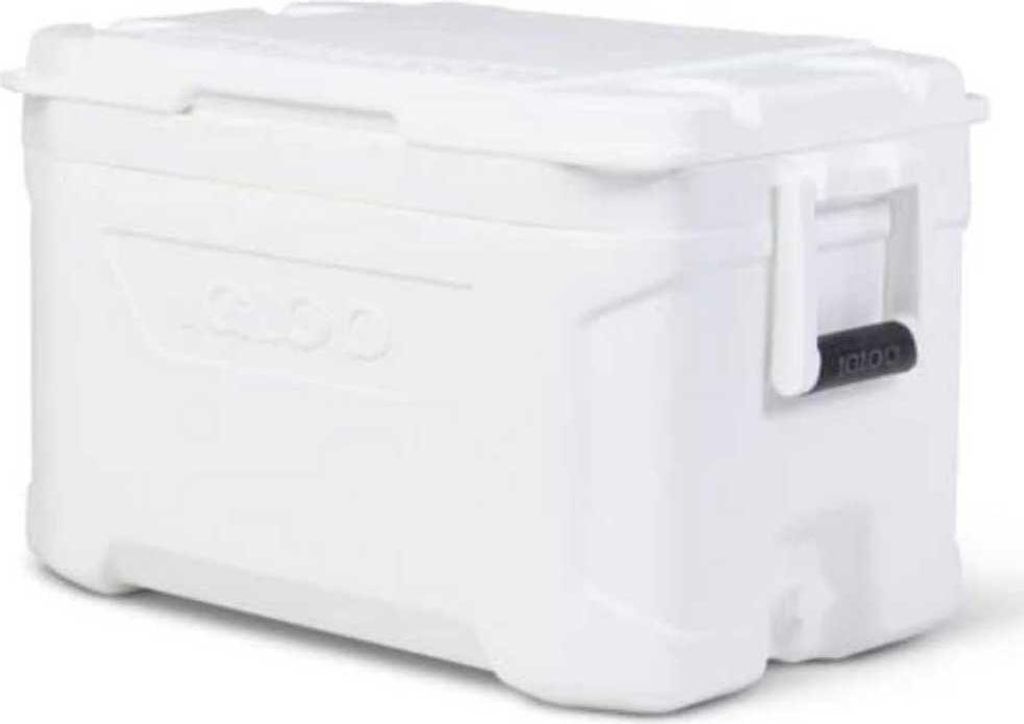 Igloo Coolers Profile Marine 50 47l Steife Tragbare Kühlbox Durchsichtig 62 x 39 x 37 cm Durchsichtig 62 x 39 x 37 cm
