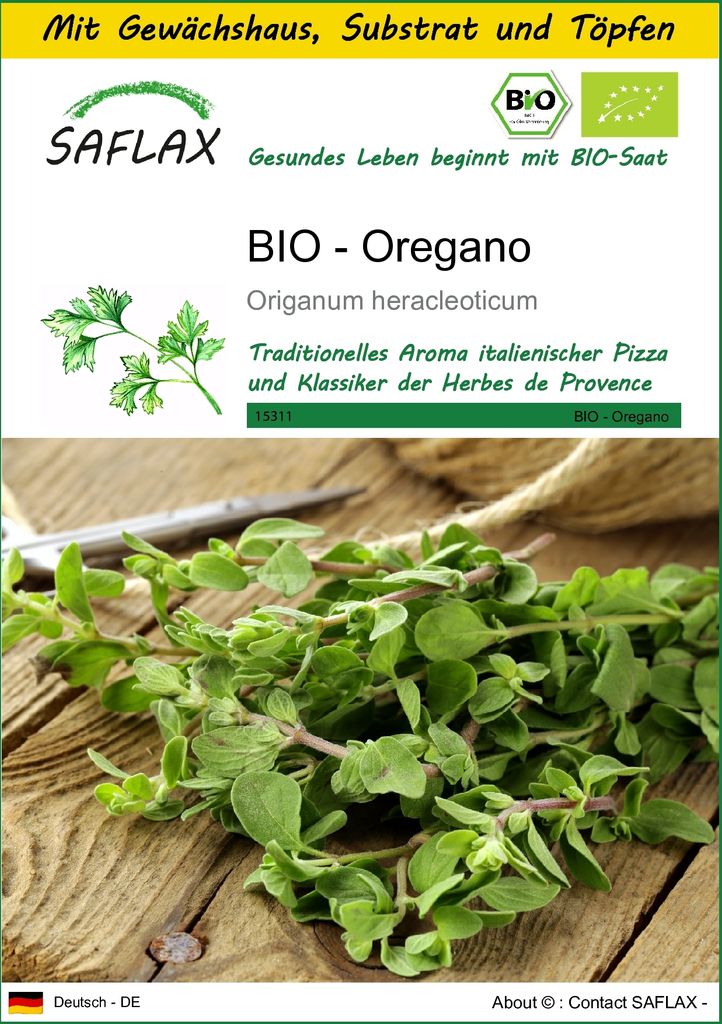 SAFLAX Anzucht Set - BIO - Oregano - Origanum heracleoticum - 1500 Samen - Mit Mini-Gewächshaus, Anzuchtsubstrat und 2 Töpfen