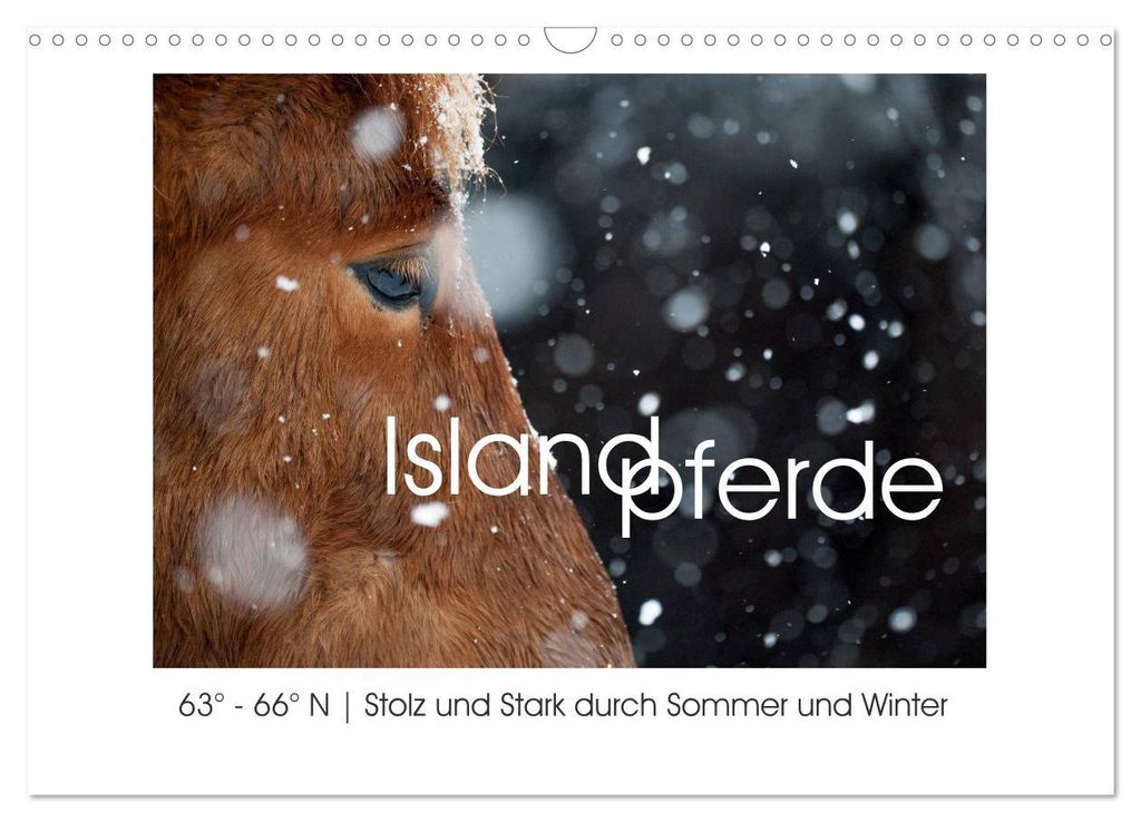 Islandpferde - Stolz und Stark durch Sommer und Winter (Wandkalender 2027 DIN A3 quer), CALVENDO Monatskalender