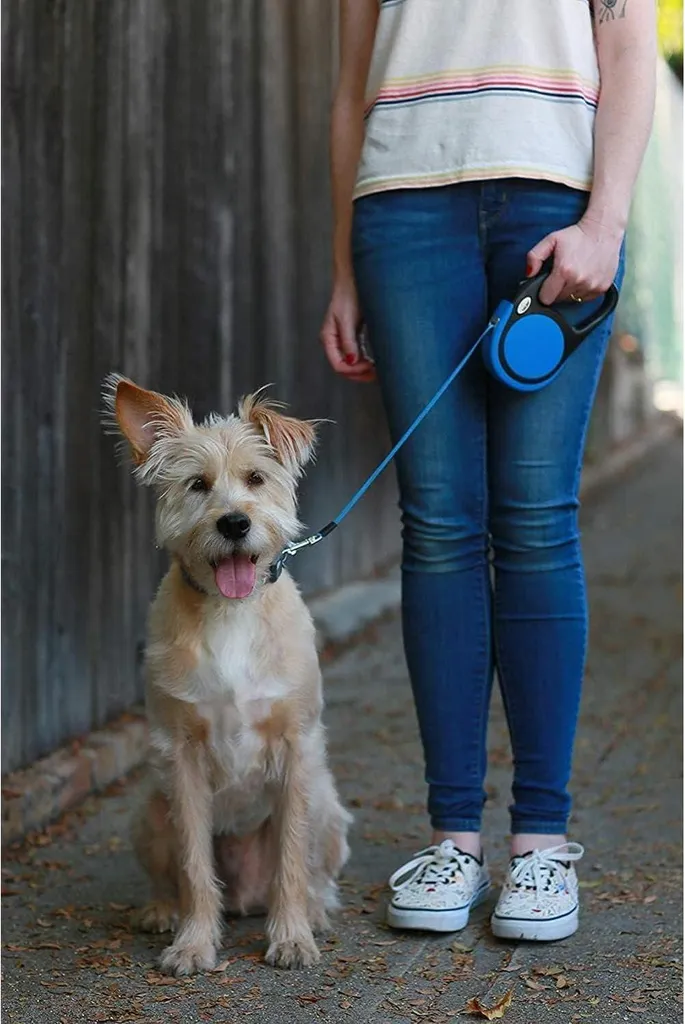 Guinzaglio Avvolgibile Cani Rolling Leash 5m Blu Sicurezza 20kg - 2