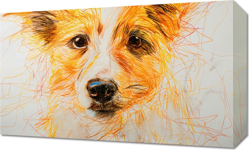 Bild 50x30cm Hübscher Gast