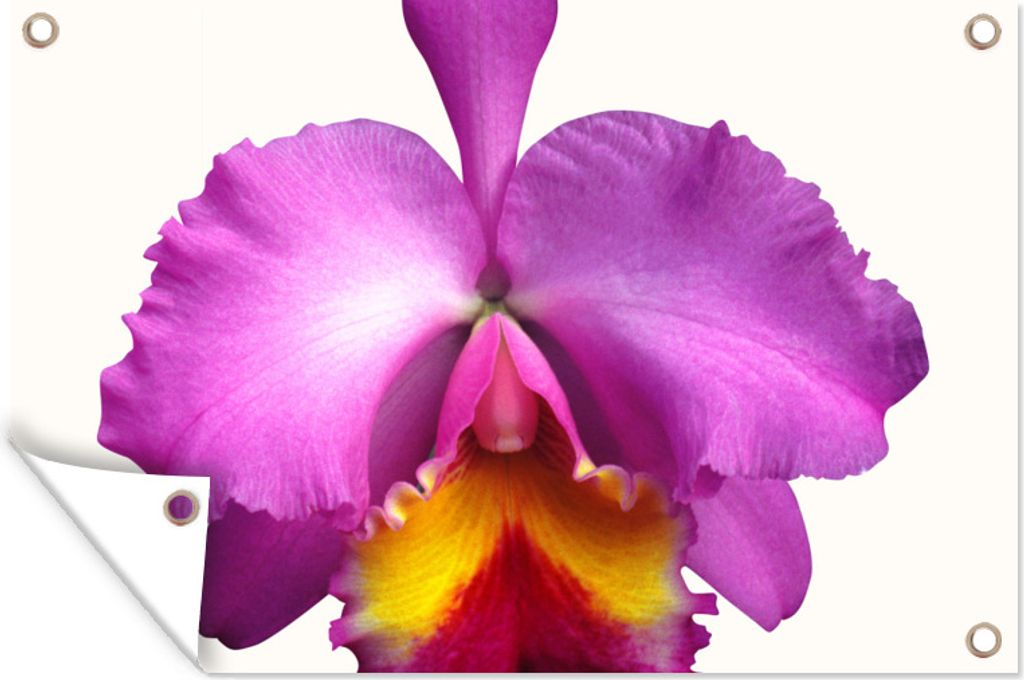 MuchoWow 90x60 cm Outdoor-Poster Gartendeko Sichtschutz Garten Poster für den Garten Nahaufnahme Orchidee