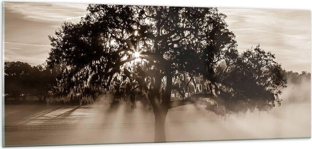 Bilder auf glas - Baum Feld Natur - 100x40cm - Glasbilder - Wandbilder - Kunstdruck - zum Aufhängen bereit - Wanddekoration aus Glas - Glas Bilder...