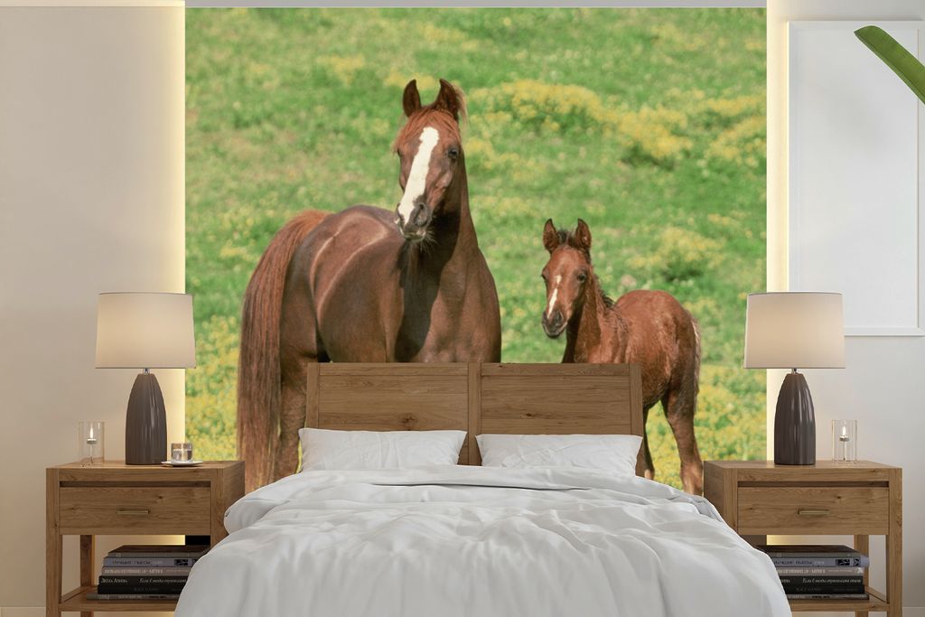 MuchoWow Fototapete für Wohnzimmer oder Schlafzimmer Wandtapete Vinyl Motivtapete Pferde - Gras - Braun - 280x280 cm - Hintergrundbild