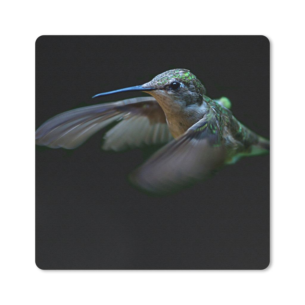 MuchoWow Mauspad Mousepad Kolibri - Federn - Schwarz 20x20 cm - Mousepads - Maus Mat - Pad - Mausunterlage - Desk Mat - Bureauartikeln