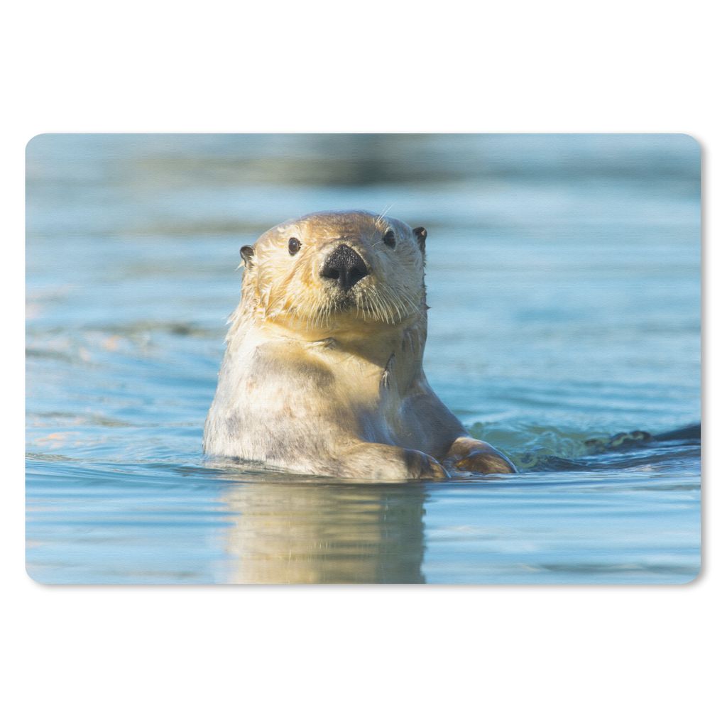 MuchoWow® Mauspad Mousepad Weißer Otter schwimmt 27x18 cm - Produktbild 