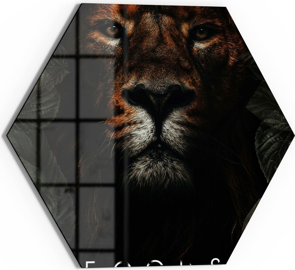 DEQOART Glasbild Echtglas 40x35 cm 'Königlicher Fokus' Produktbild 