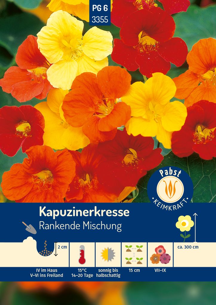 Pabst Keimkraft - Kapuzinerkresse Rankende Mischung Samen - Produktbild 
