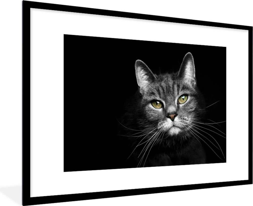 MuchoWow Gerahmtes Poster Haustiere - Katze - Tiere - Schwarz - Weiß 90x60 cm - Poster mit Schwarzem Bilderrahmen Wandposter Rahmen Foto Bilder ...