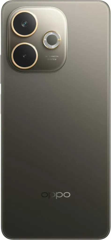Smartphone Oppo CPH2695 Octa Core : Écran 6,67" fluide et 256 Go de mémoire