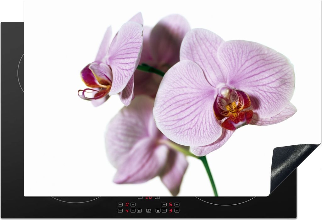 KitchenYeah Herdabdeckplatte Rosa Orchideenblüte , 78x52cm, Küche Deko, Glaskeramikkochfeld Herdabdeckung, Abdeckplatte fùr Kochfeld