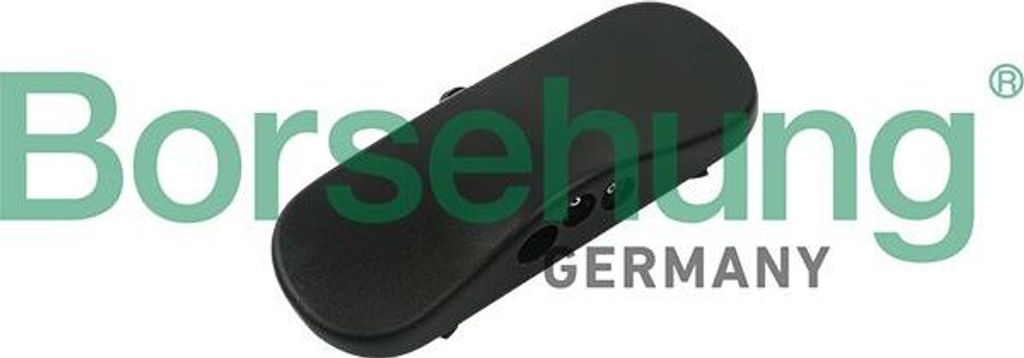 Borsehung B18495 Waschwasserdüse, Scheibenreinigung OE 4G8955988 kompatibel mit A6 4G, A7 4G