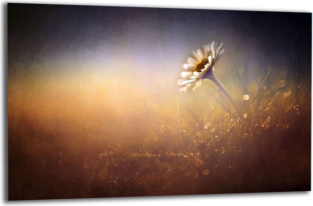 Herdabdeckplatte Glaskeramikkochfeld-Abdeckung Spritzschutz Glas 80x52 Blumen