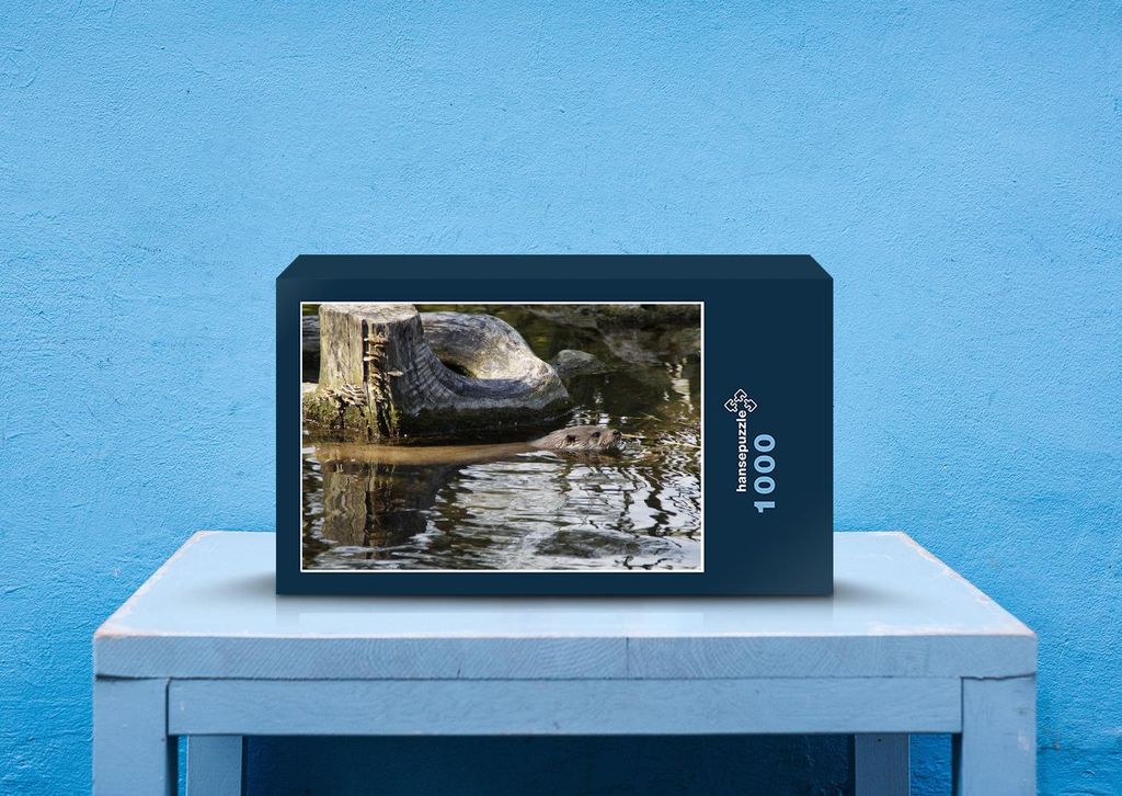 hansepuzzle 23021 - Otter Puzzle, 1000 Teile, Tierwelt, 60,0 x 46,0cm mit hochwertiger Aufbewahrung, Kartonbox und wiederverschließbarem Beutel