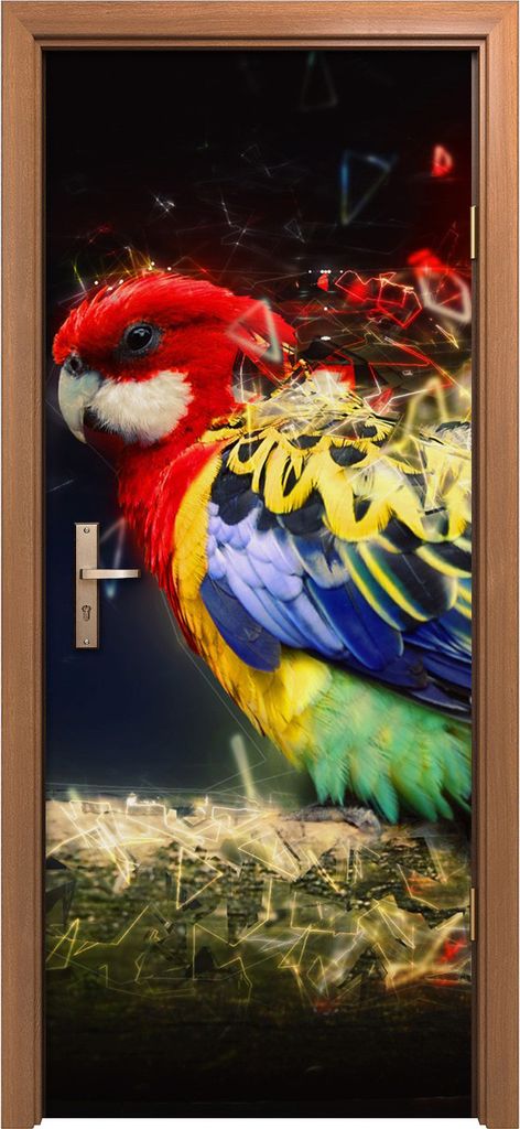 Türposter 80x200 cm Türaufkleber Türtapete Türfolie Klebefolie Papagei auf dem Zweig Abstrakte Tier