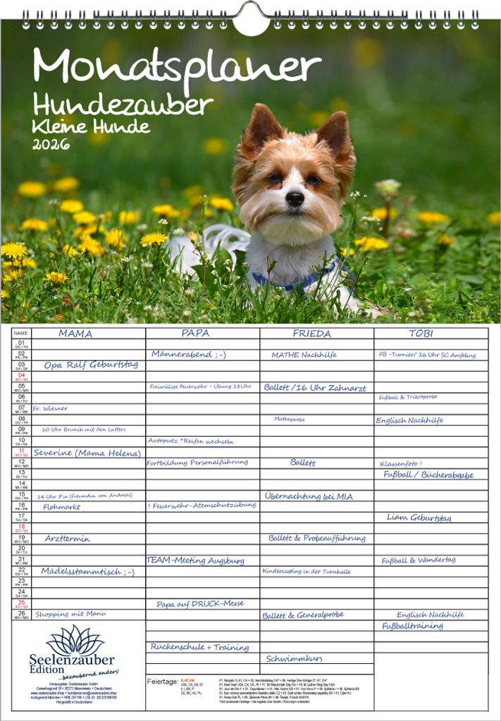 Hundezauber Kleine Hunde Planer Familienplaner 4 Spaltenplaner DIN A3 Kalender für 2026 Welpen und kleine Hunde - Seelenzauber