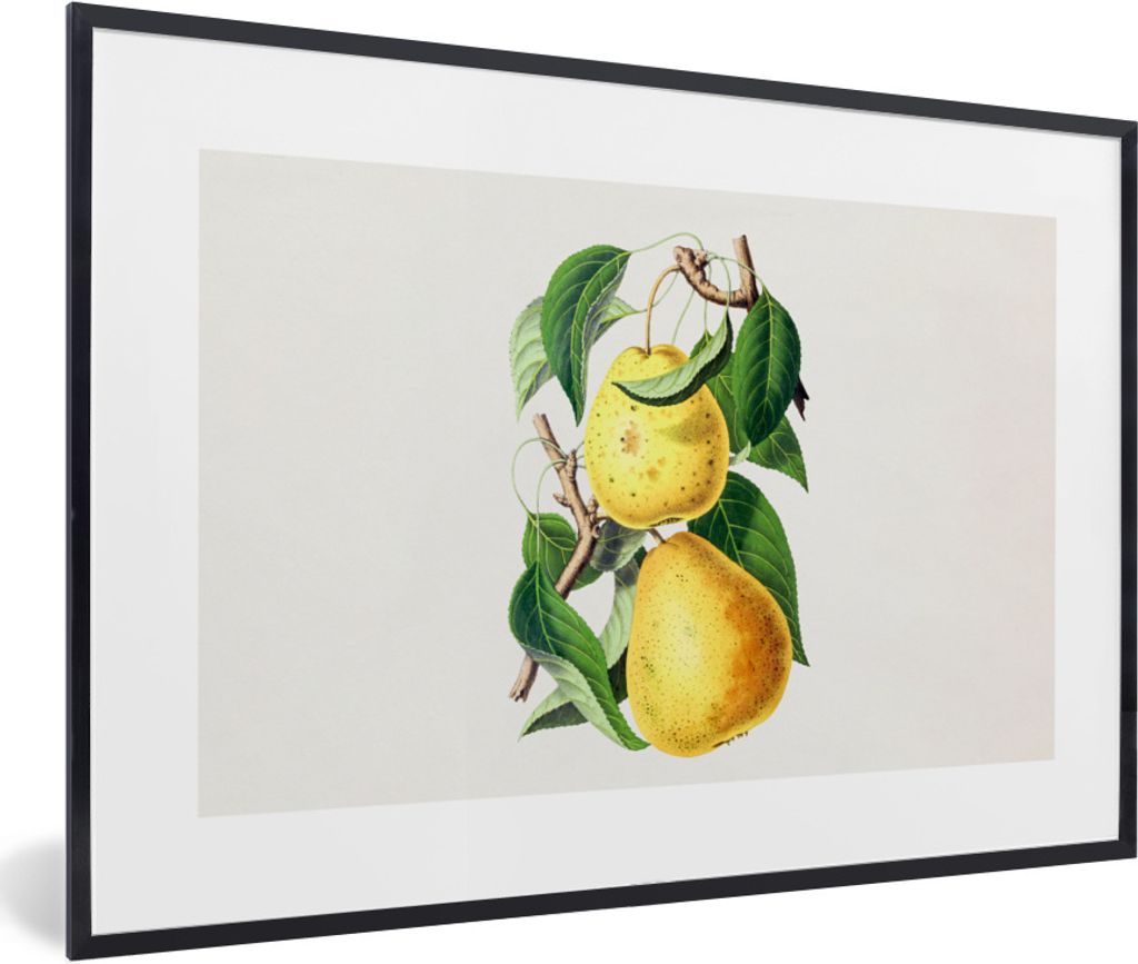 MuchoWow Gerahmtes Poster Birnen - Obst - Gesund 90x60 cm - Poster mit Schwarzem Bilderrahmen Wandposter Rahmen Foto Bilder - Fotorahmen - Foto-P...