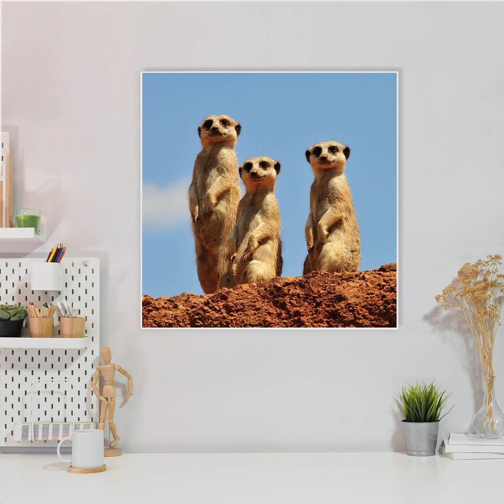 Design Stahlmagnettafel Quadratisch 50x50cm Erdmännchenfamilie