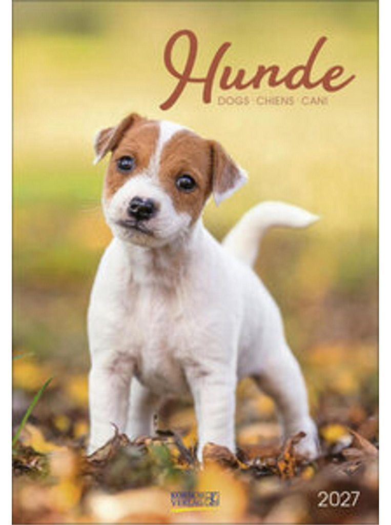 Chiens 2027 Image du produit 