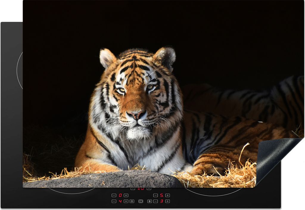KitchenYeah Herdabdeckplatte Tiger - Stroh - Schatten , 76x51cm, Küche Deko, Glaskeramikfeld Herdabdeckung, Abdeckplatte fùr Kochfeld