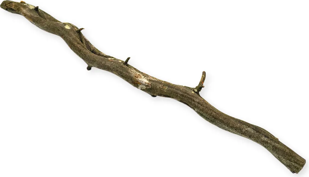 OFFERTA Liana Brasiliana Terrario 50cm - Marrone Scuro Robusta - 2