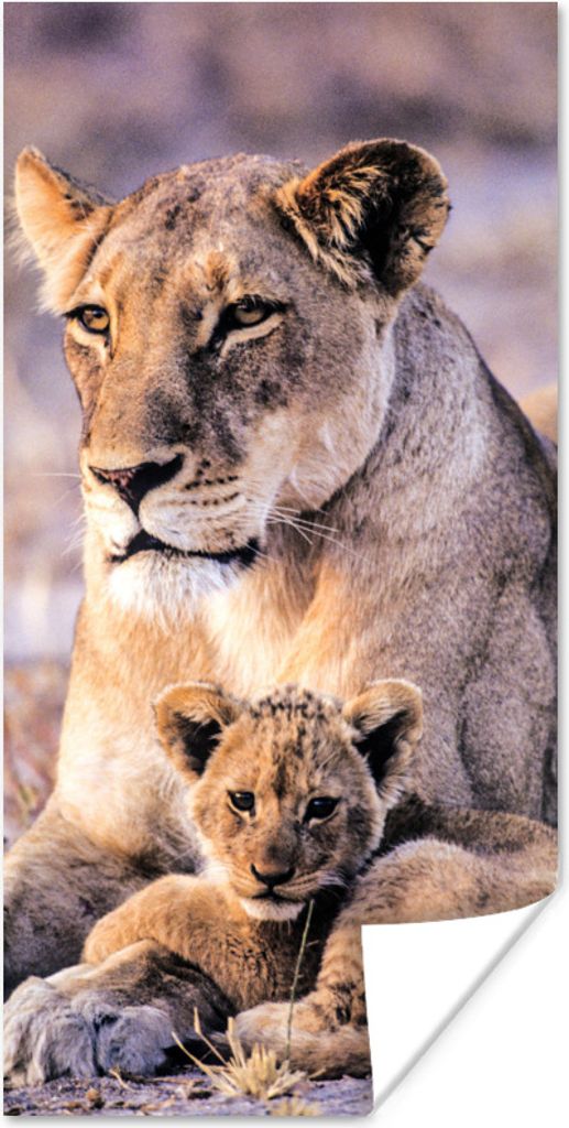 MuchoWow Poster Löwin - Löwe - Junges 75x150 cm - Dekoration für die Wände