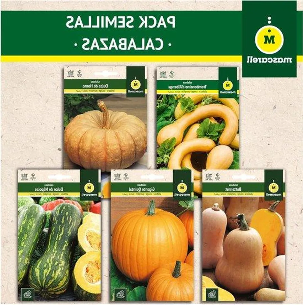 Mélange Radis Multicolores 5 Variétés - Graines Faciles à Semer 98g