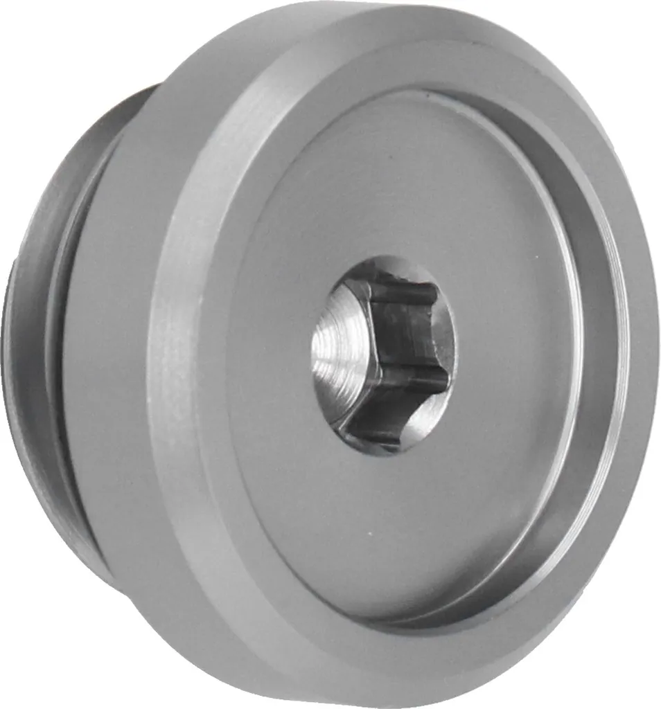 Vite tappo olio, accessori moto, parti di ricambio, adatto per YZFR6S 2006-2010 (grigio)