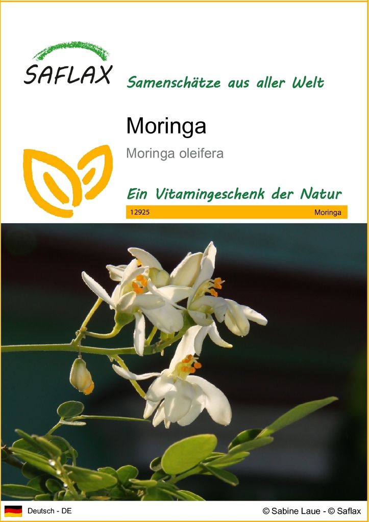 SAFLAX - Moringa - Moringa oleifera - 10 Samen Produktbild 