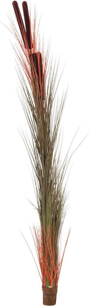 artplants.de Deko Schilfgras, Kolben, Hellbraun, 150cm - Künstliches Gras - Kunstgras